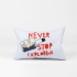 RPET Polyester Pillow with Filling. Four-color Printing